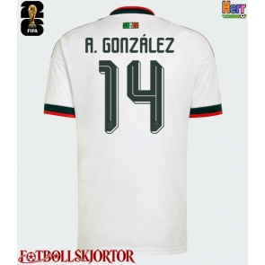 Mexiko Armando Gonzalez #14 Bortatröja VM 2026 Kortärmad